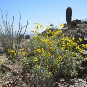 Meet your Posher, Meghan